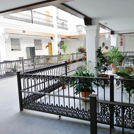 Casa Dulcinea. Precioso Atico En Plena Calle Ancha Sanlúcar de Barrameda Dış mekan fotoğraf